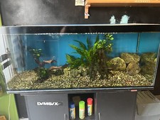 Acquario 300lt