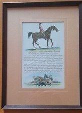 4 antiche stampe di cavalli