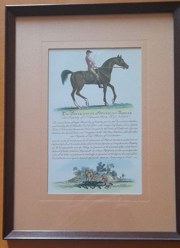 Antiche stampe cavalli - stampe,