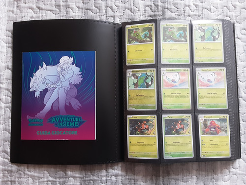 Pokemon avventura insieme - avventura,