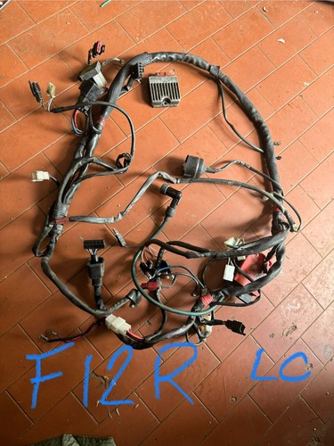 Impianto elettrico cablaggio - elettrico,