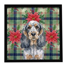 Blue Roan Tan English Cocker