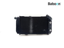 Radiatore destro Triumph Tiger