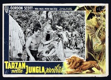 TARZAN E LA GIUNGLA PROIBITA fotobusta poster Gordon Scott 's Hidden Jungle AB32
