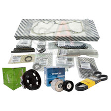 kit catena distribuzione motori 1.3 multijet originale Fiat cinghia servizi