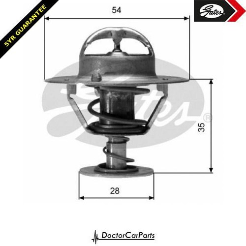Termostato per nissan trade - termostato,
