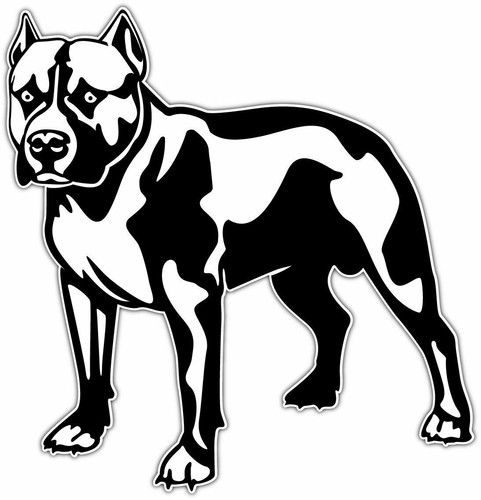 Adesivo pitbull terrier - adesivo,