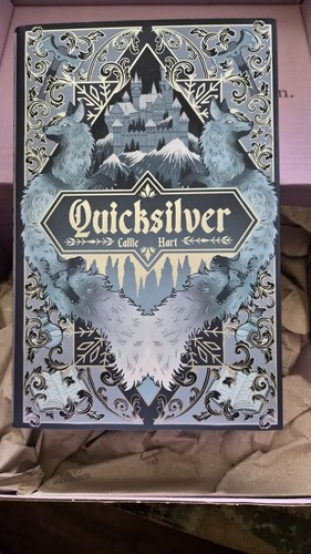 Quicksilver deluxe limited - quicksilver,
