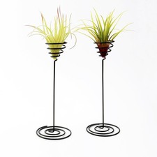  3 Pcs Contenitore Per Piante
