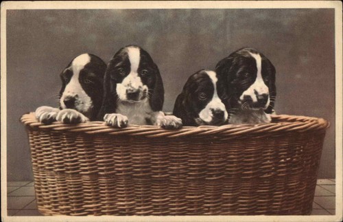 Puppy dogs wicker basket - dogs,