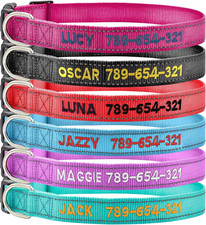 Collare Cane Riflettente