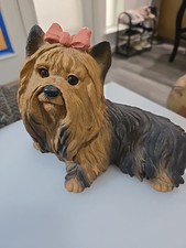 Nice Yorkshire Terrier .