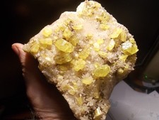 MINERALI VET.C. Zolfo