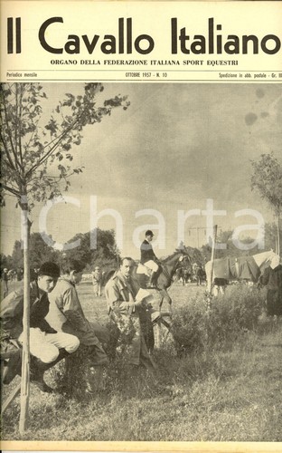1957 cavallo italiano campo - cavallo,