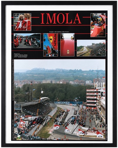 Poster ayrton senna - poster, michael