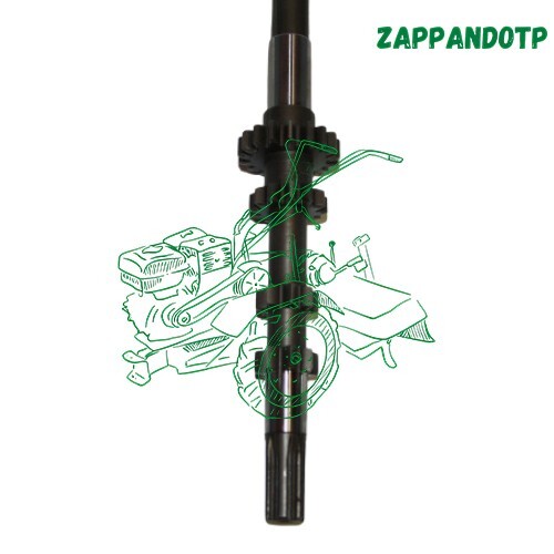 Albero asse porta - asse, 1ario