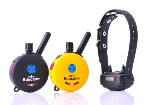 300 mini educatore con 2 - et-300,