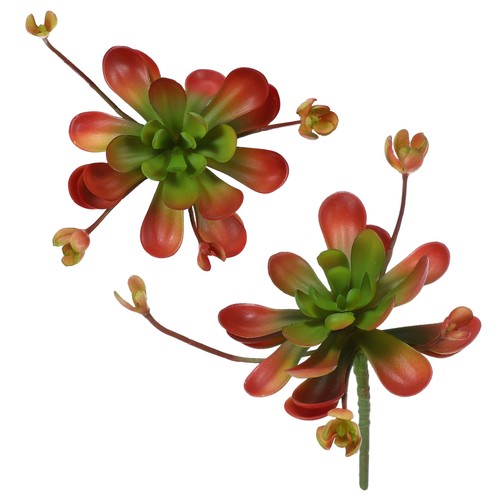 2pcs piante grasse - grasse, artificiali