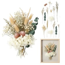 Fiori secchi decorativi
