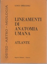 Lineamenti di anatomia umana