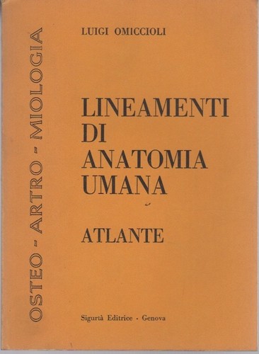 Lineamenti anatomia umana - lineamenti,