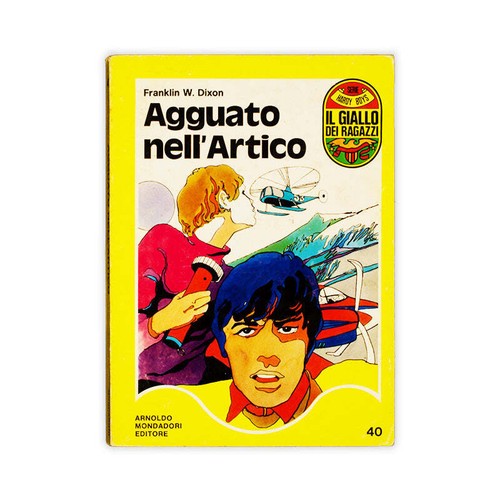 Libro agguato nell - libro,