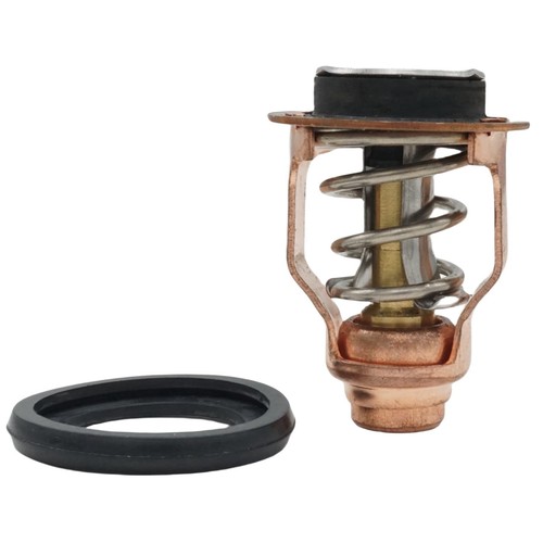 60v12411 termostato fuoribordo - 60v12411,