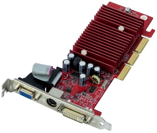 Scheda grafica gainward nvidia - grafica,