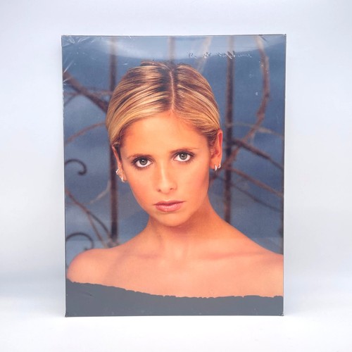Buffy the vampire slayer - vampire,