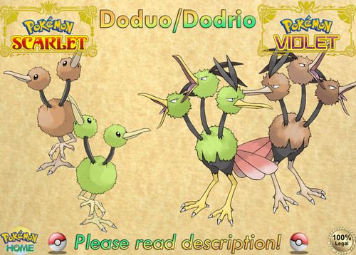 🍊Doduo/Dodrio