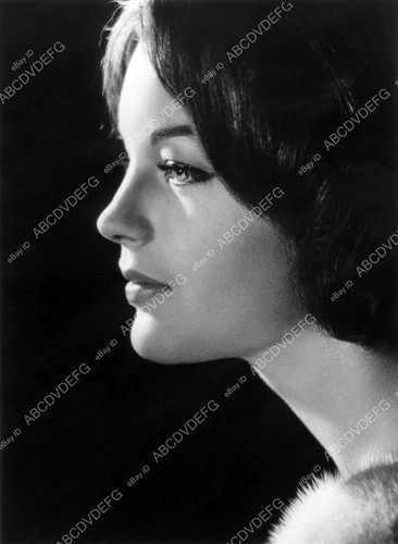 Stylish profile romy - |,