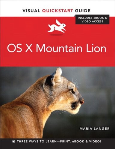 Mountain lion visual - mountain, lion: