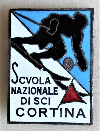 Distintivo della scuola - distintivo,