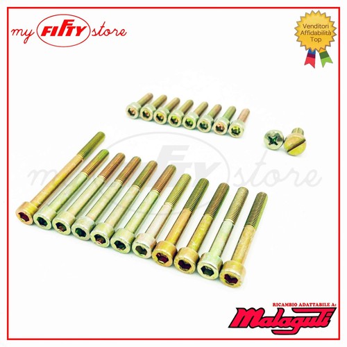 Kit completo viti motore pz - completo, 21