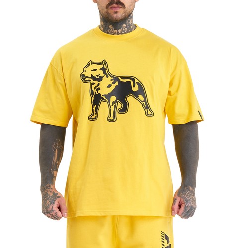 Amstaff logo t shirt - logo, t-shirt