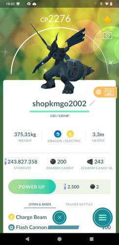 Pokémon shiny zekrom 1 - -,