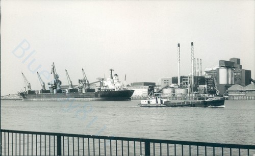 Cyprus calypso british mt - mv,