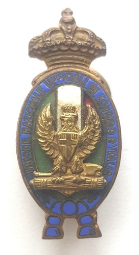 Pin distintivo unione - pin,