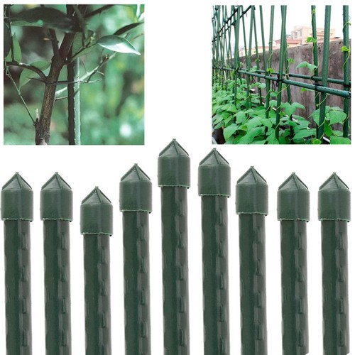 Set pali tutori canna - 25,