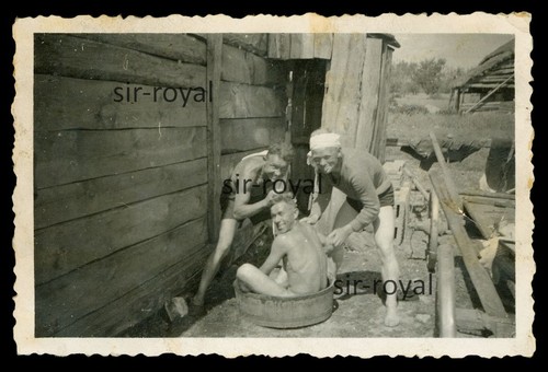 Probabilmente manze 1941 - manze,