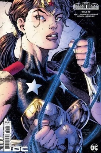 Wonder woman jim - woman, lee