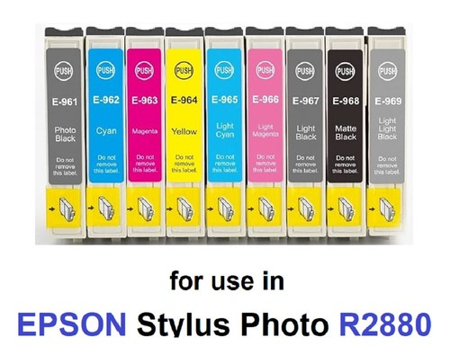 Inchiostro per epson - x,