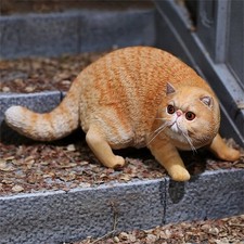 JXK1:6 Exotic Shorthair Cat