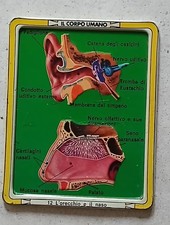 Placca metallo IL CORPO UMANO