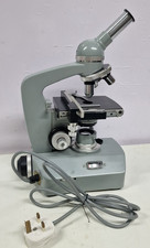 Microscopio elettronico