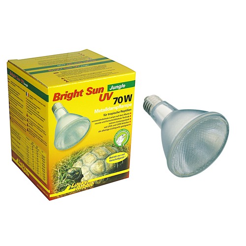 Lucky reptile luminoso sole - lucky,