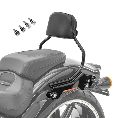 Sissy bar per breakout - sissy,