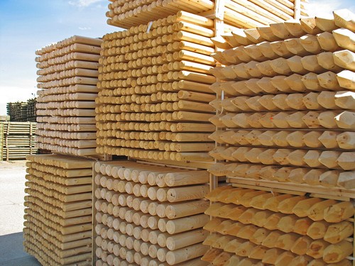 Pali legno pino tornito - legno,