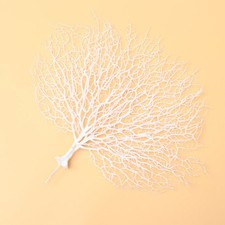  Finto Corallo Per Acquario