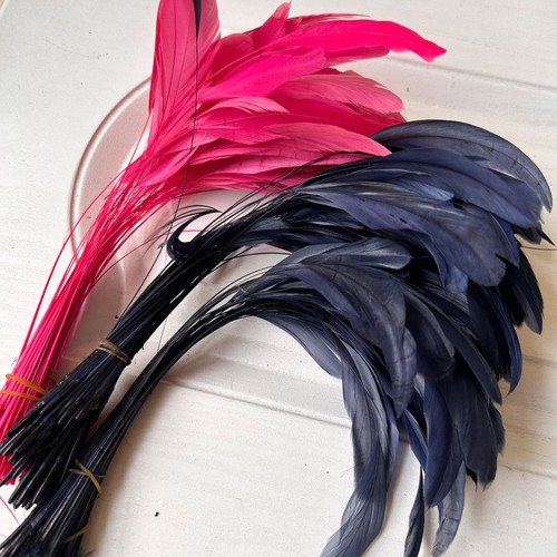 Piume colorate tinte 20cm - tinte,